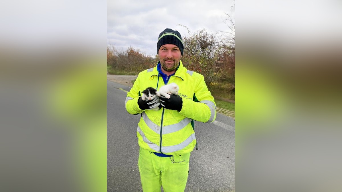 Andreas Kurth (Foto) und Stefan Nonn vom Unstruttaler Bauhof haben die beiden Kätzchen vor dem Kältetod gerettet.