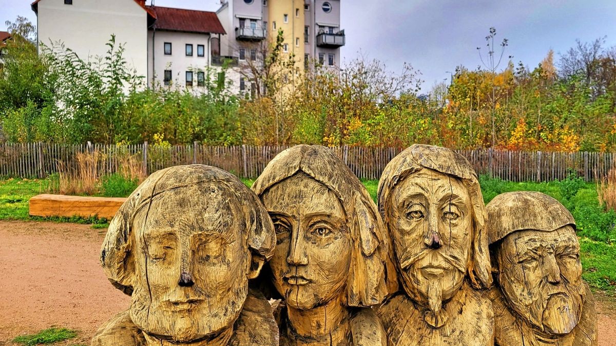 Der Mini-Wald am Mohrenberg in Gotha, vor drei Jahren angelegt, entwickelt sich sehr gut. 