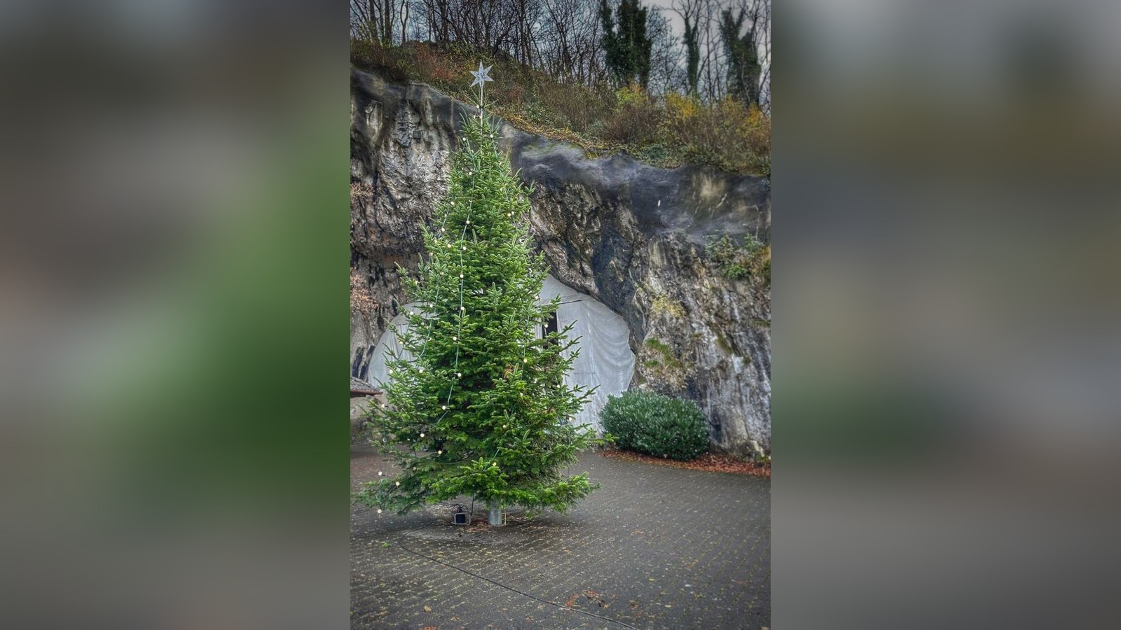 Balver Höhle Baum steht aber er erstrahlt noch nicht