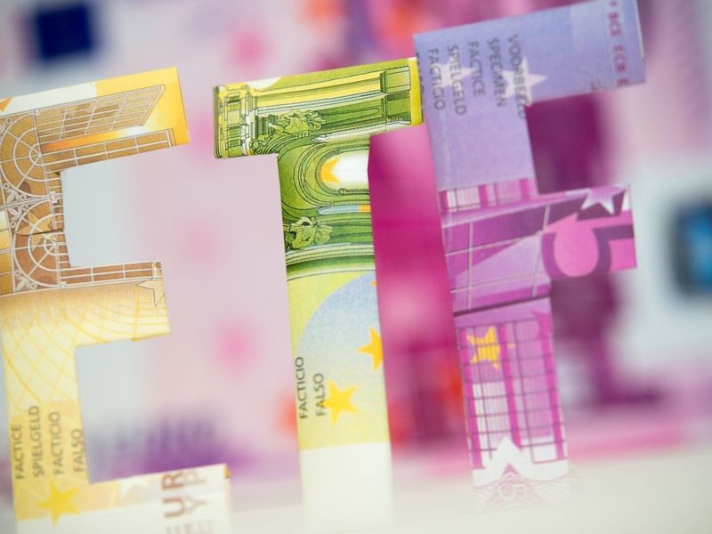 Ausschüttend oder thesaurierend Wohin gehen die Dividenden?