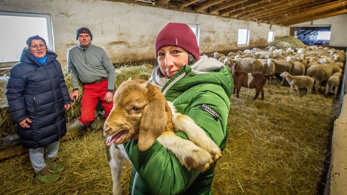 Pfarrerin Annemarie Sommer (Bildmitte), sowie Katja Roth und Schäfer Nico Schreiber (im Bild hinten von links) bereiteten in dieser Woche den Gottesdienst im Schafstall in Hohenbergen vor.