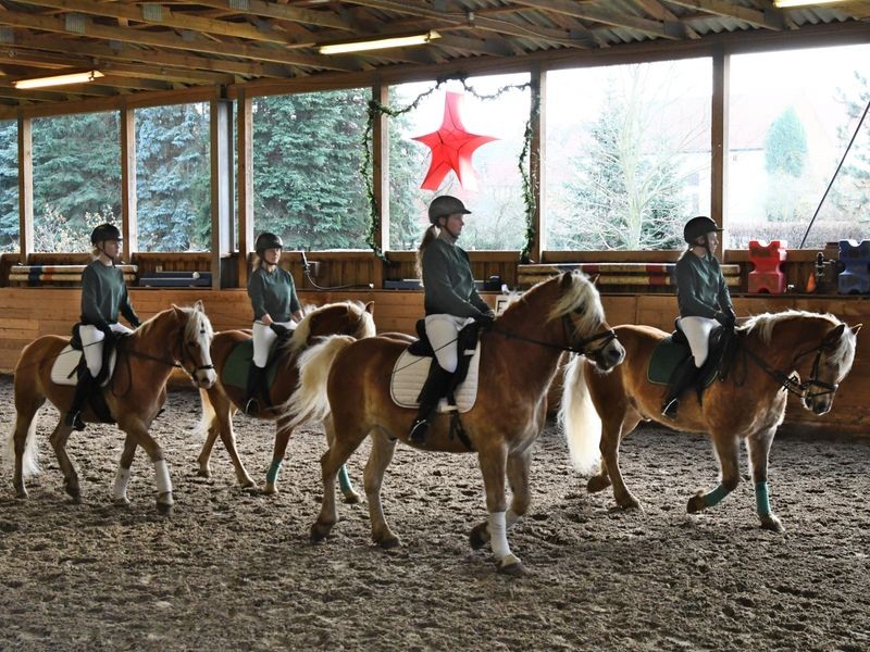 Das Leben ist doch ein Ponyhof