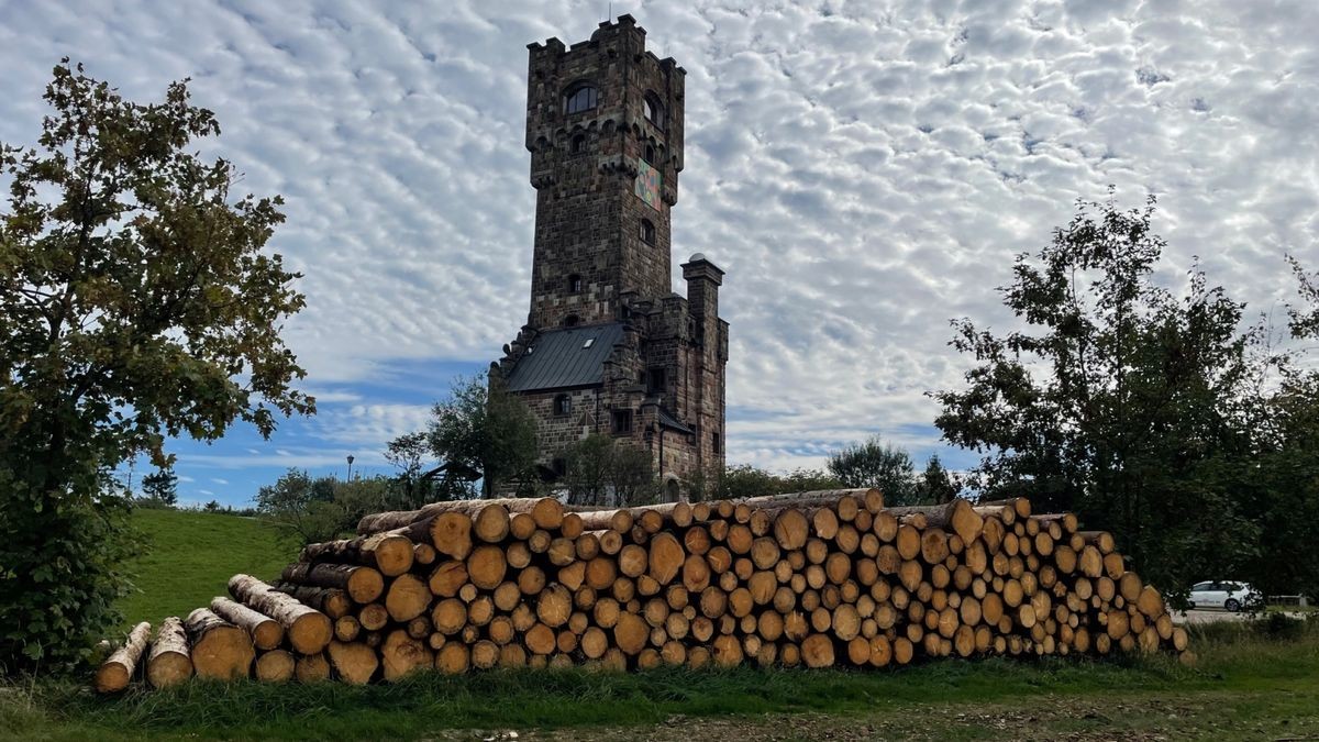 Rückblick 2023 Altvaterturm wird zum Holzlagerplatz