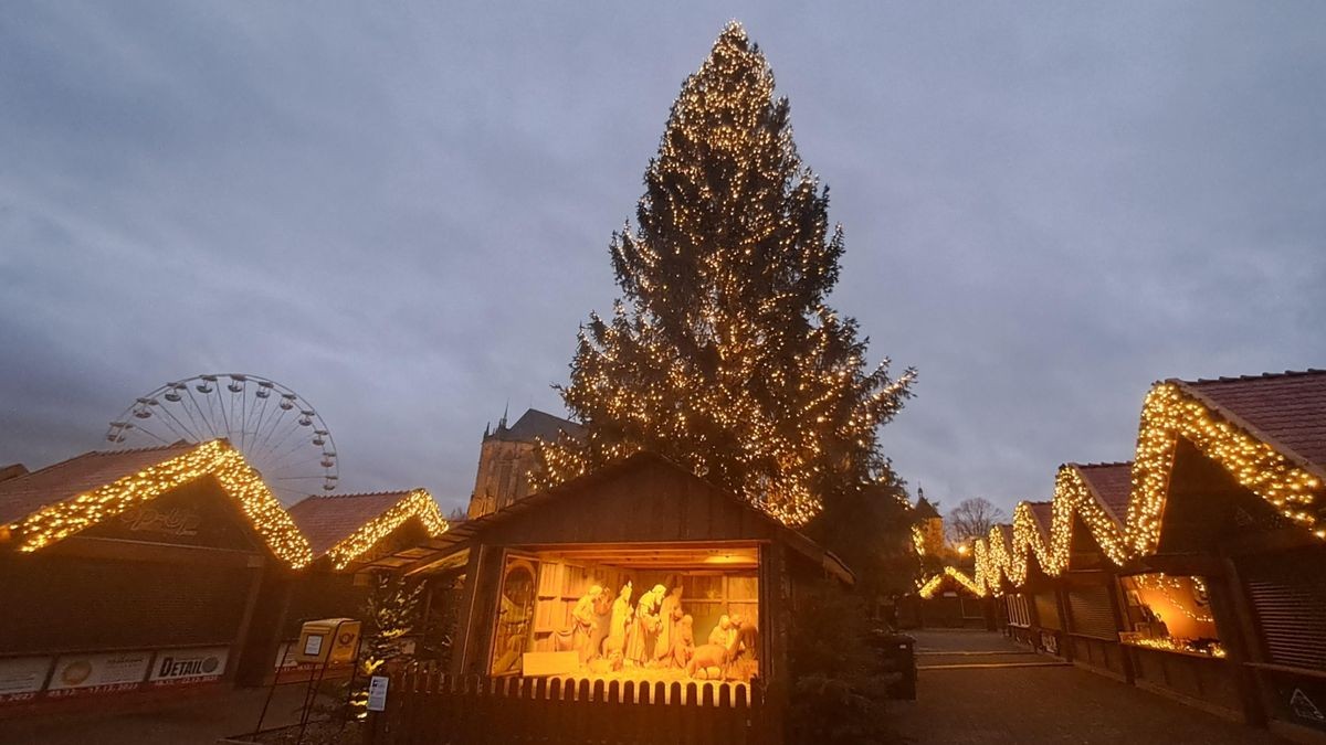 Auf dem Weihnachtsmarkt Erfurt trotz der Baum dem Wind. 