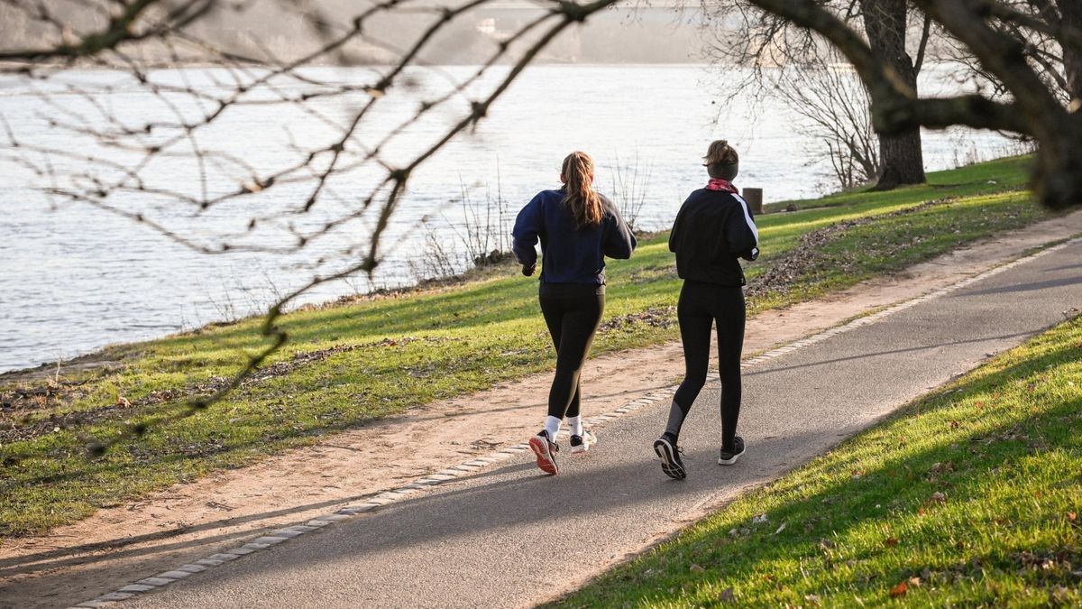 Diese guten Vorsätze haben Menschen im Landkreis Helmstedt