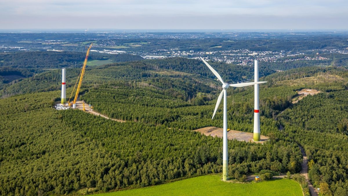 Eine Windkraftanlage entsteht in der Nähe eines Waldgebietes.