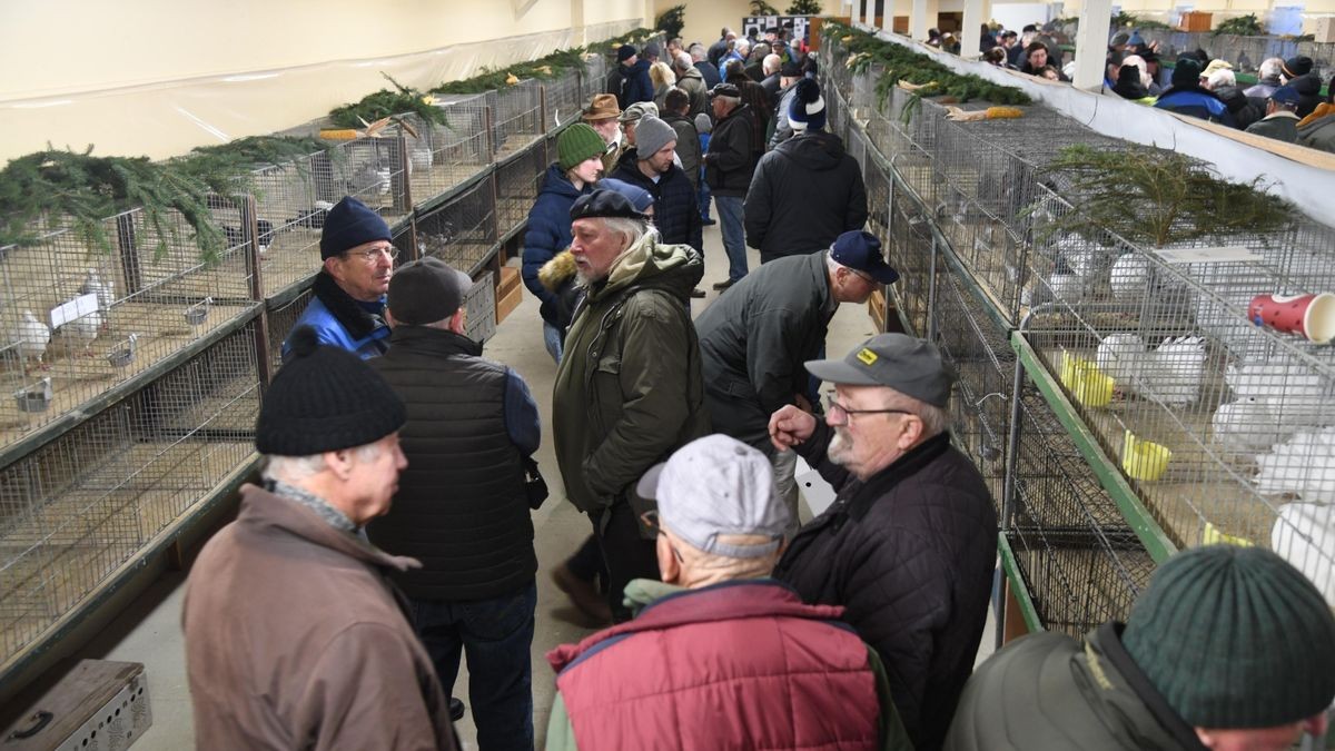 Die Bilder vom Kleintiermarkt in Triptis
