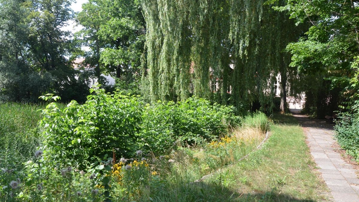Dorfanger Bohnsdorf wird 2025 umgestaltet Das ist geplant
