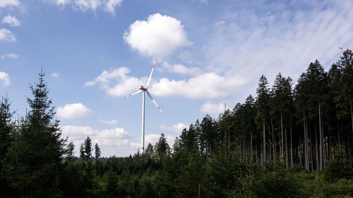 Ist das neue Waldgesetz gleichbedeutend mit einem Windradverbot im Wald? Darüber gibt es aktuell Streit in Thüringen.