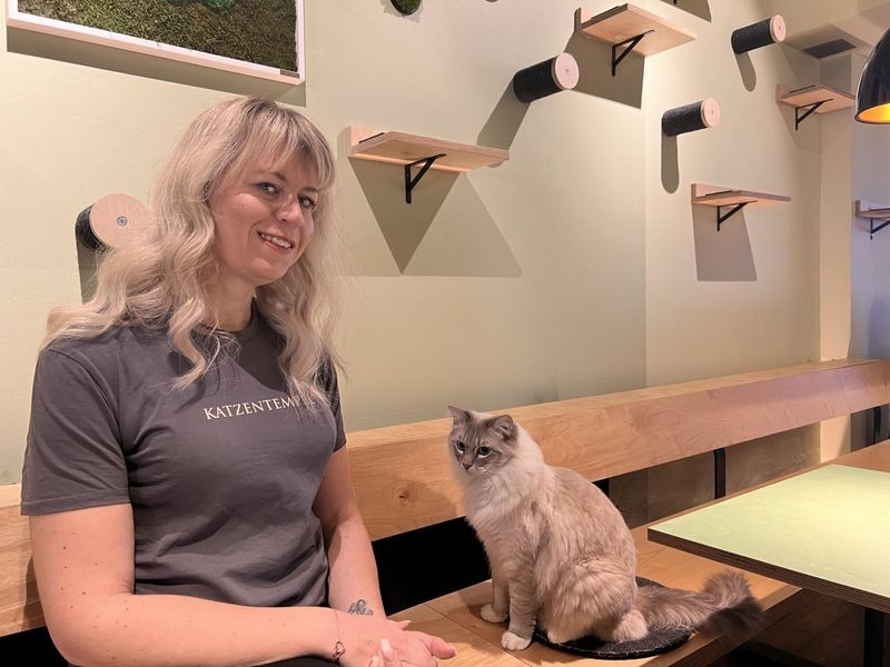 Genuss im Katzentempel? In diesem Café in Hannover hat das Tierwohl Priorität