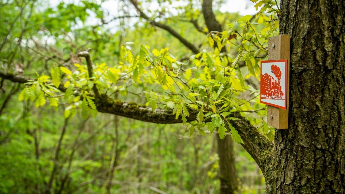 Ein rotes Schild mit einer Dampflok markiert den Südharzer Dampfloksteig unterhalb der Wetterfahne in Ilfeld im Landkreis Nordhausen.