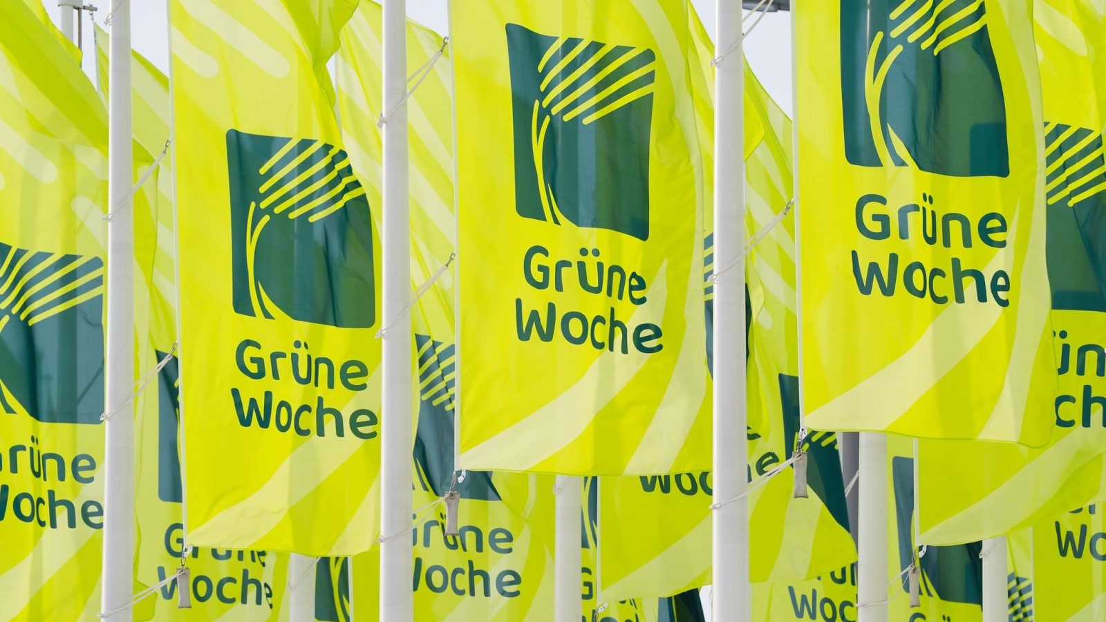 Grüne Woche in Berlin wird eröffnet: Agrardebatte