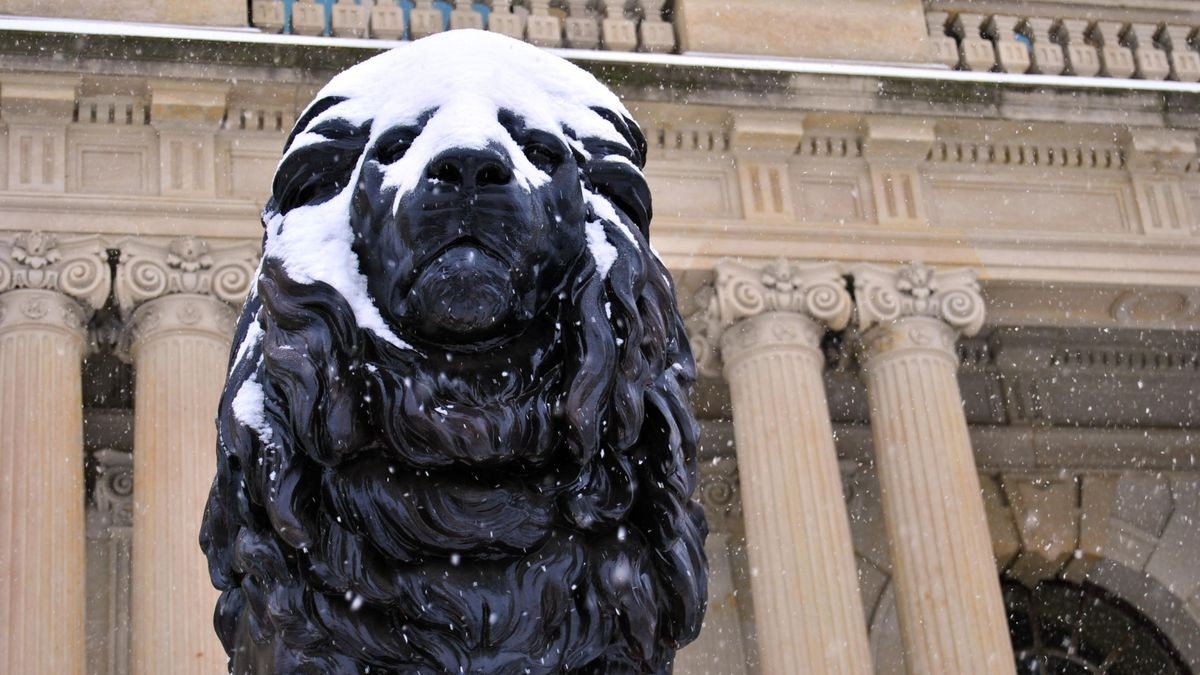 Die Löwen vorm Herzoglichen Museum in Gotha sind auch von Schnee bedeckt.