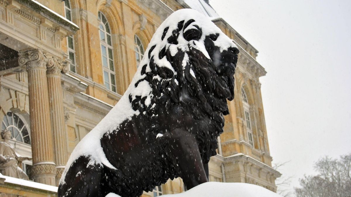 Die Löwen vorm Herzoglichen Museum in Gotha sind auch von Schnee bedeckt.