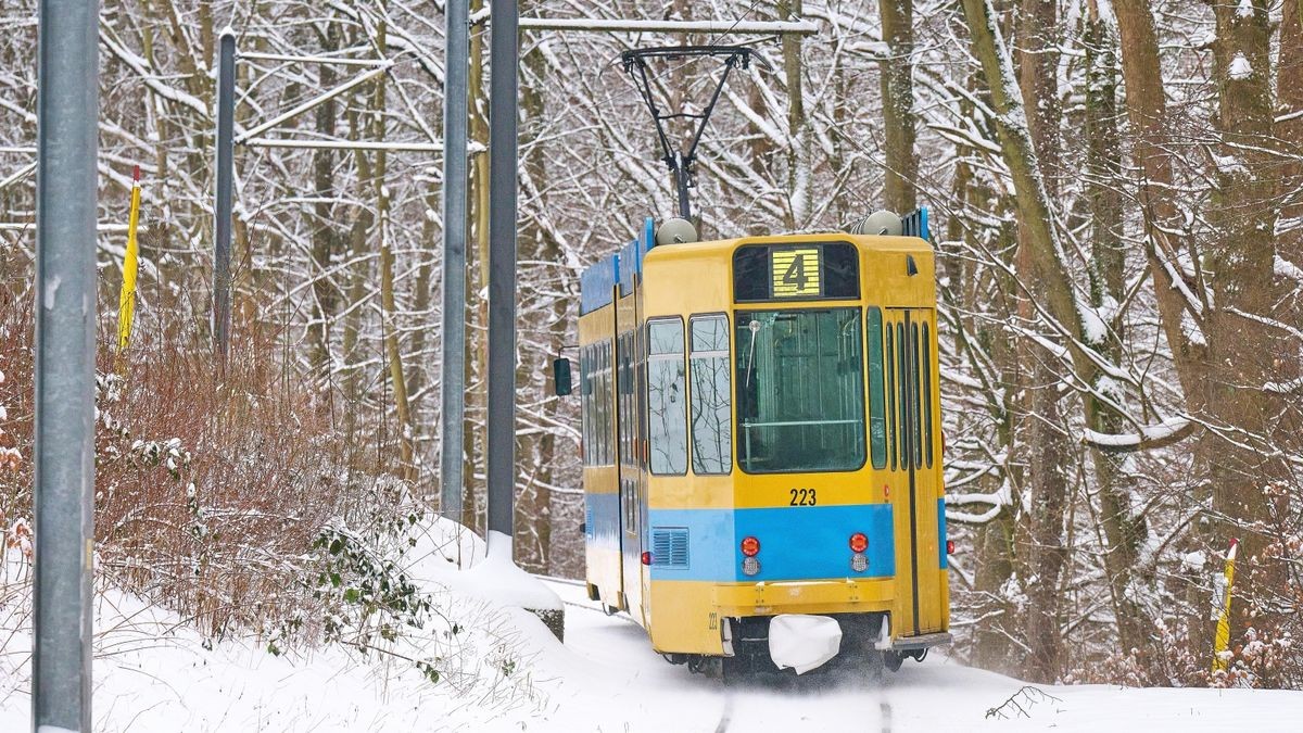 Dien Thüringer Wald- und Straßenbahn nahe der Reinhardsbrunner Teiche