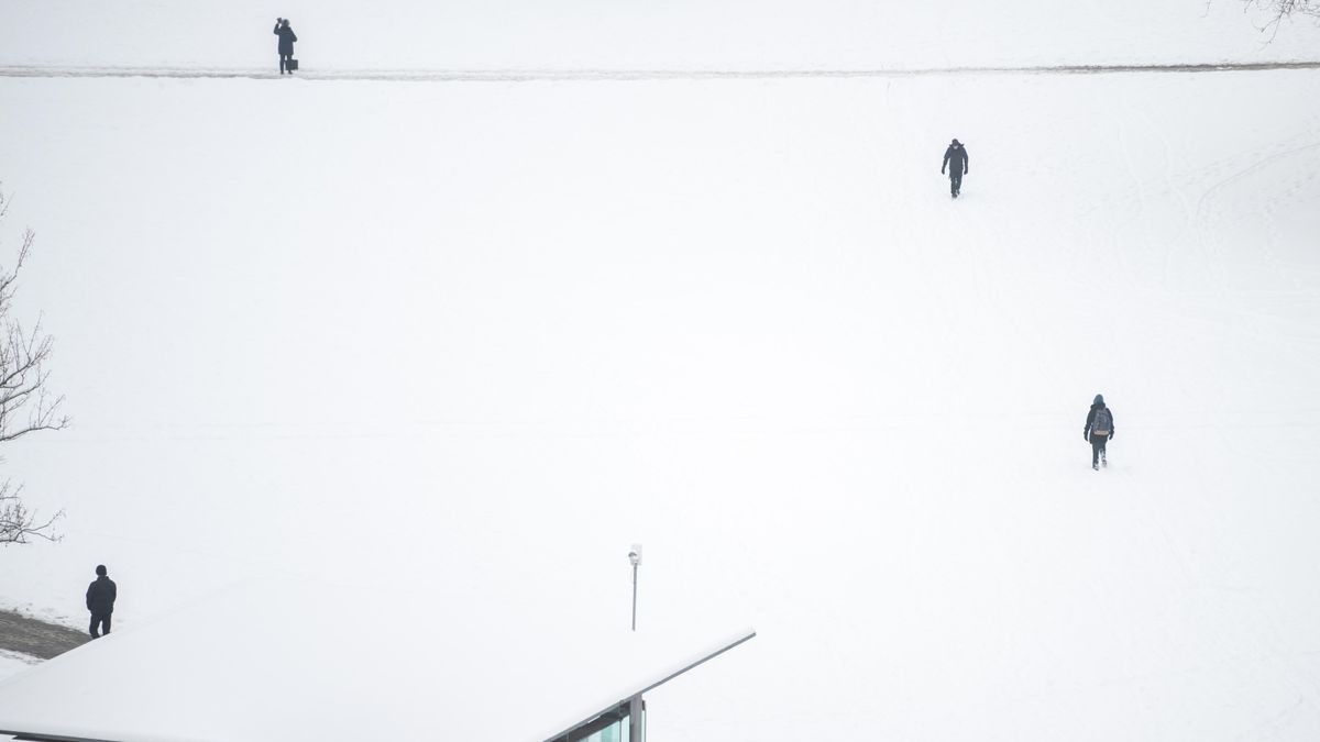 Der anhaltende Schneefall hat auch die Thüringer Landeshauptstadt Erfurt in eine Winterlandschaft verwandelt. Schnee und Eis haben seit Mittwoch in weiten Teilen Deutschlands zu vielen Unfällen und starken Verkehrsbehinderungen geführt.