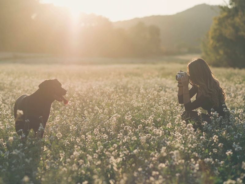 Tierfotografie-So-setzen-Sie-Hund-Katze-und-Pferd-in-Szene