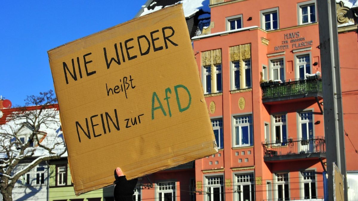 Menschen kamen mit selbstgebastelten Plakaten zu der Demonstration in Erfurt.