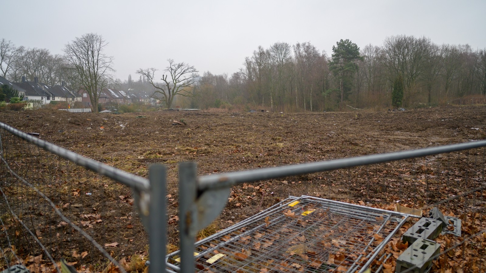 Alter Baum gefällt Trotzdem seit Jahren kein Baubeginn in Essen