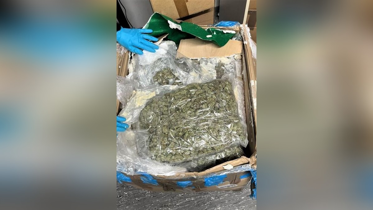 In dem Paket befanden sich gut 18 Kilogramm Cannabis.