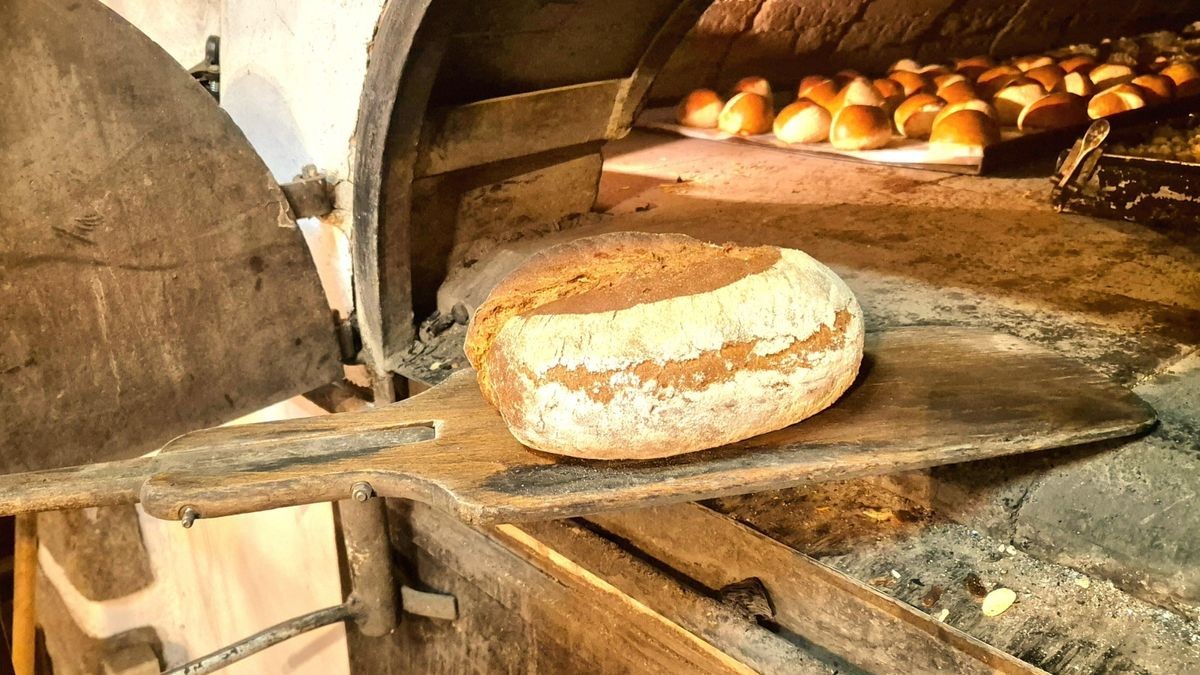 In der Mühlenbäckerei werden die Möhren aus Langenklint bereits im Dinkel-Möhren-Brot verbacken. Das Mühlenmuseum wird Genossenschaftsmitglied im Wurzel Kollektiv (WuKo): Sebastian Lipper, Martin Rautenberg und Jonas Klee stellten die Zusammenarbeit vor.  In der Gastronomie sind künftig im wöchentlichen Wechsel WuKo-Gerichte geplant, je nachdem, was gerade Saison hat und geerntet wird