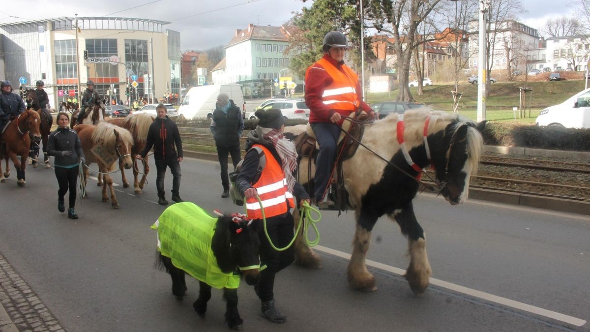 Etwa 50 Reiter hoch zu Ross sowie eine Kutsche sind am Samstag durch Gotha gezogen. Begleitet von Fußgängern, Traktor an der Spitze und am Ende des Trosses wollen sie die Proteste der Bauern gegen die Agrarpolitik der Bundesregierung unterstützen. Der Demonstrationszug von der Stadthalle über Gartenstraße, Hauptmarkt zurück zur Stadthalle stand unter dem Motto: 