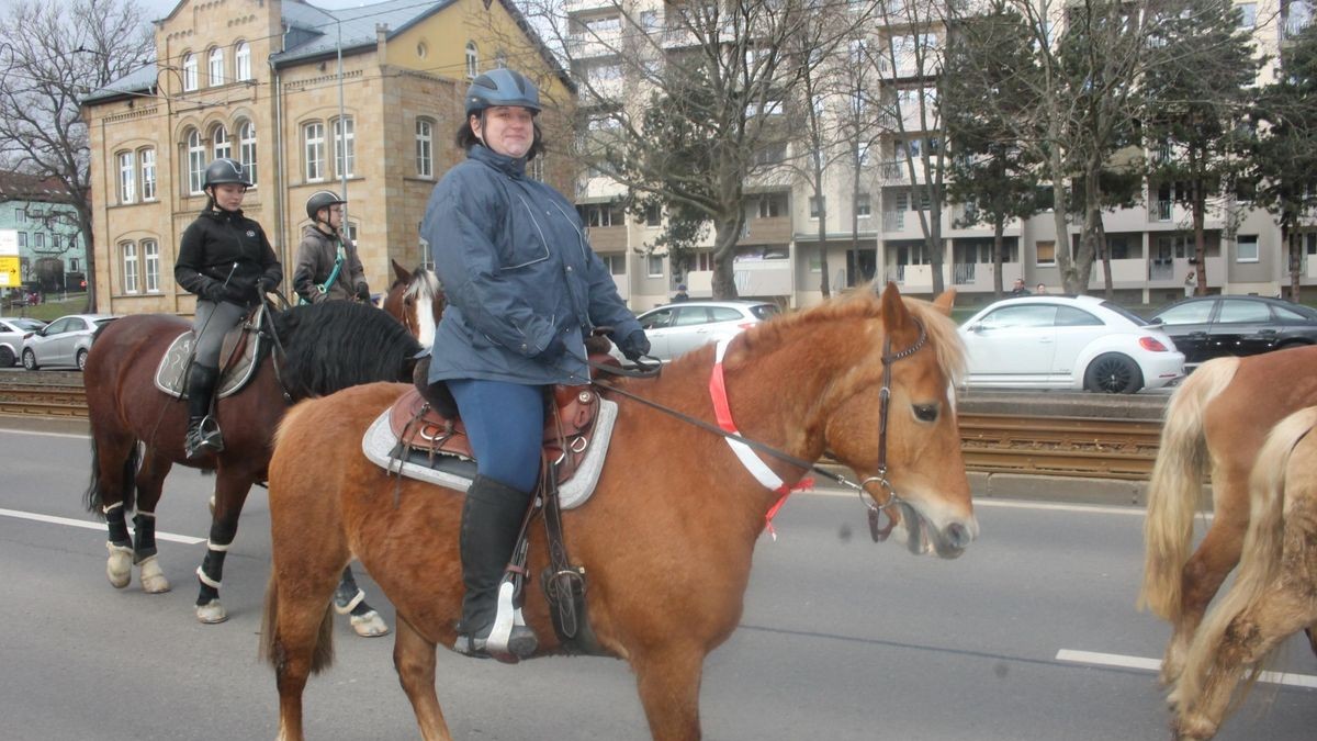 Etwa 50 Reiter hoch zu Ross sowie eine Kutsche sind am Samstag durch Gotha gezogen. Begleitet von Fußgängern, Traktor an der Spitze und am Ende des Trosses wollen sie die Proteste der Bauern gegen die Agrarpolitik der Bundesregierung unterstützen. Der Demonstrationszug von der Stadthalle über Gartenstraße, Hauptmarkt zurück zur Stadthalle stand unter dem Motto: 