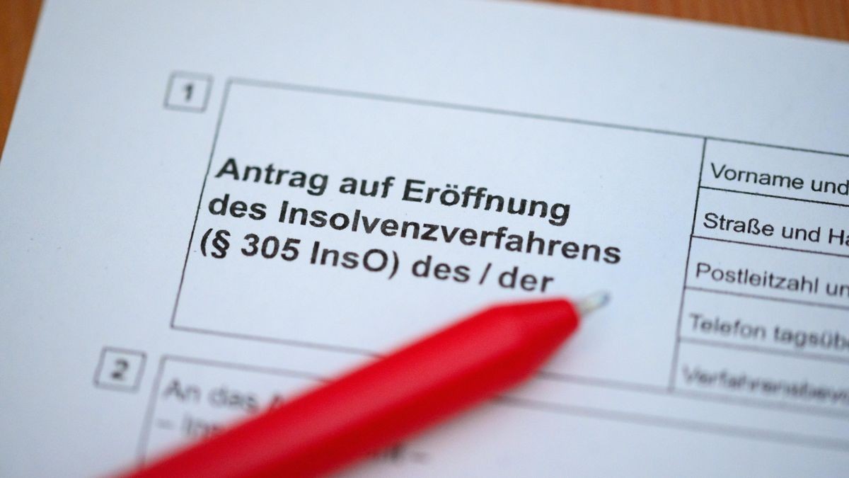 Verbraucherinsolvenzen machten den Großteil aller Insolvenzverfahren aus. (Symbolbild)