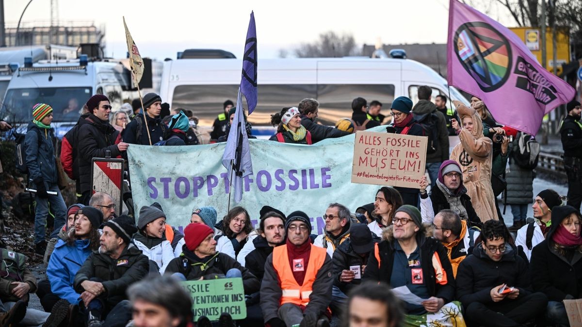 Die wissenschaftliche Mitarbeiterin nahm an Klimaprotesten teil (Symbolfoto).