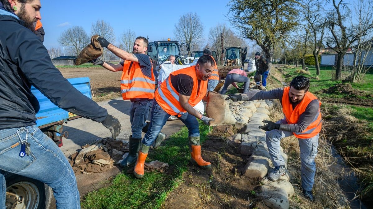 Insgesamt 15 syrische Flüchtlinge und ebenso viele Bewohner der Goldenen Aue packten bei dem Arbeitseinsatz am Samstagmorgen in Windehausen an.