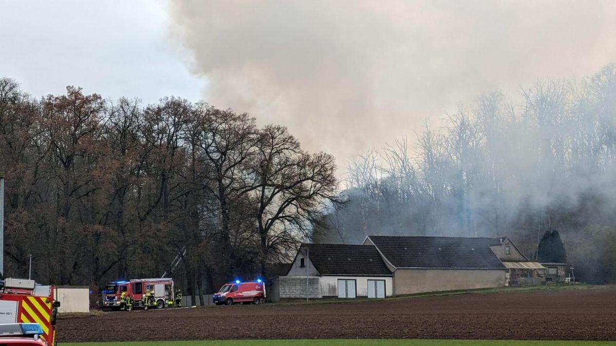 Feuerwehreinsatz am Waldschlösschen in Heldrungen.