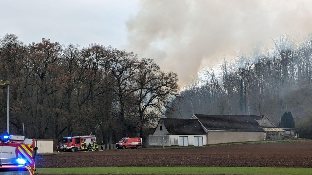 Feuerwehreinsatz am Waldschlösschen in Heldrungen.