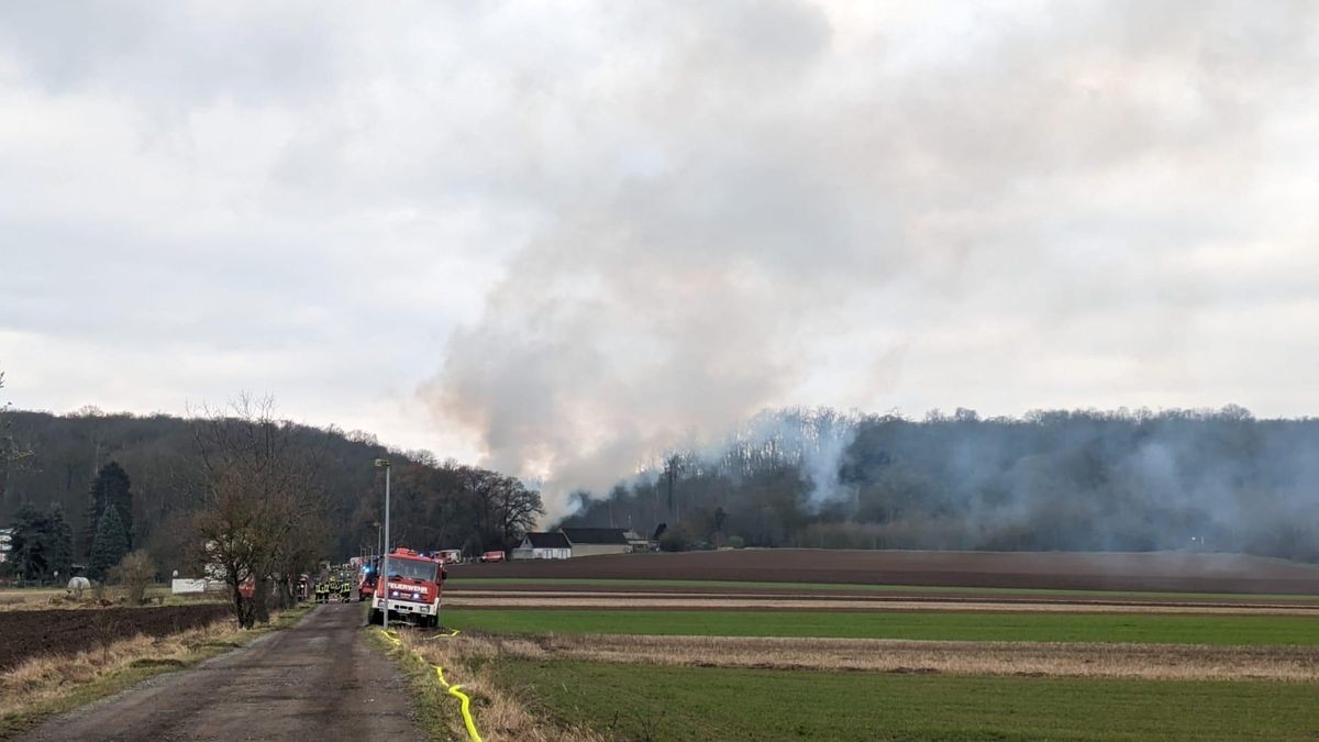 Feuerwehreinsatz am Waldschlösschen in Heldrungen.