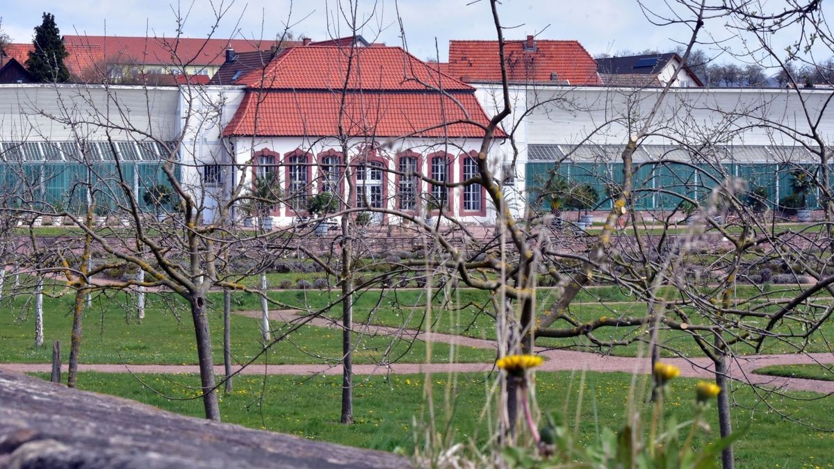 Die Orangerie ist wie jedes Jahr Schauplatz für einige Veranstaltungen.