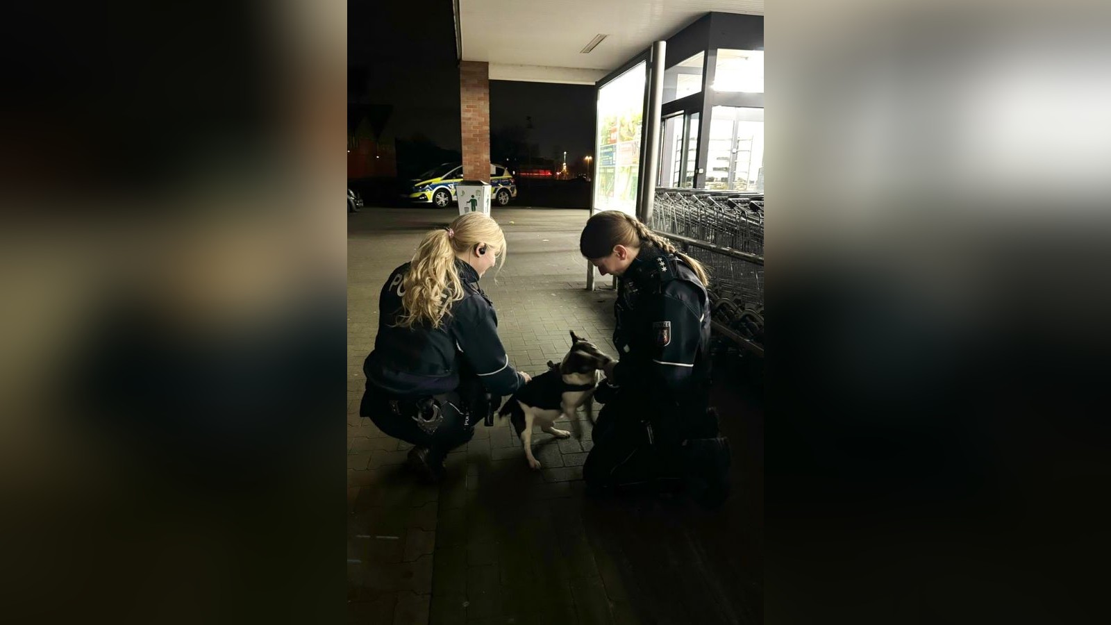 Frau kauft ein und vergisst ihren süßen Hund am Supermarkt