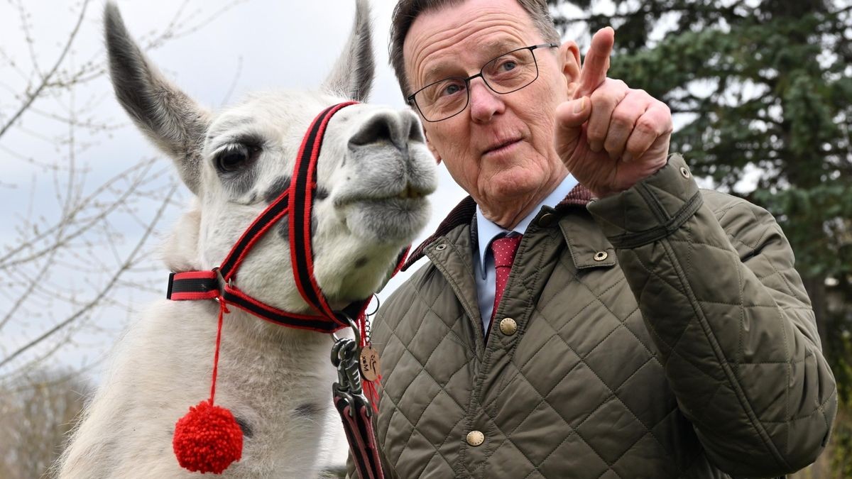 Bodo Ramelow (Die Linke), Ministerpräsident von Thüringen, nimmt mit Lamawallach Max an einer Wanderung teil.