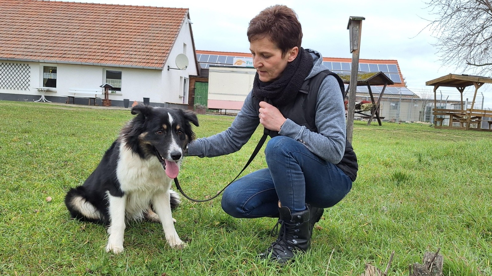 Tierheim Gehofen braucht Luft