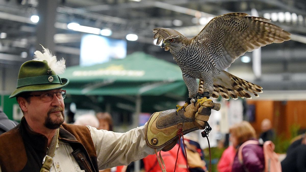 Auf dem Erfurter Messegelände läuft die Freizeitmesse „Reiten-Jagen-Fischen“ sowie die Messe „Wald, Forst und Holz“, kurz Forst3.