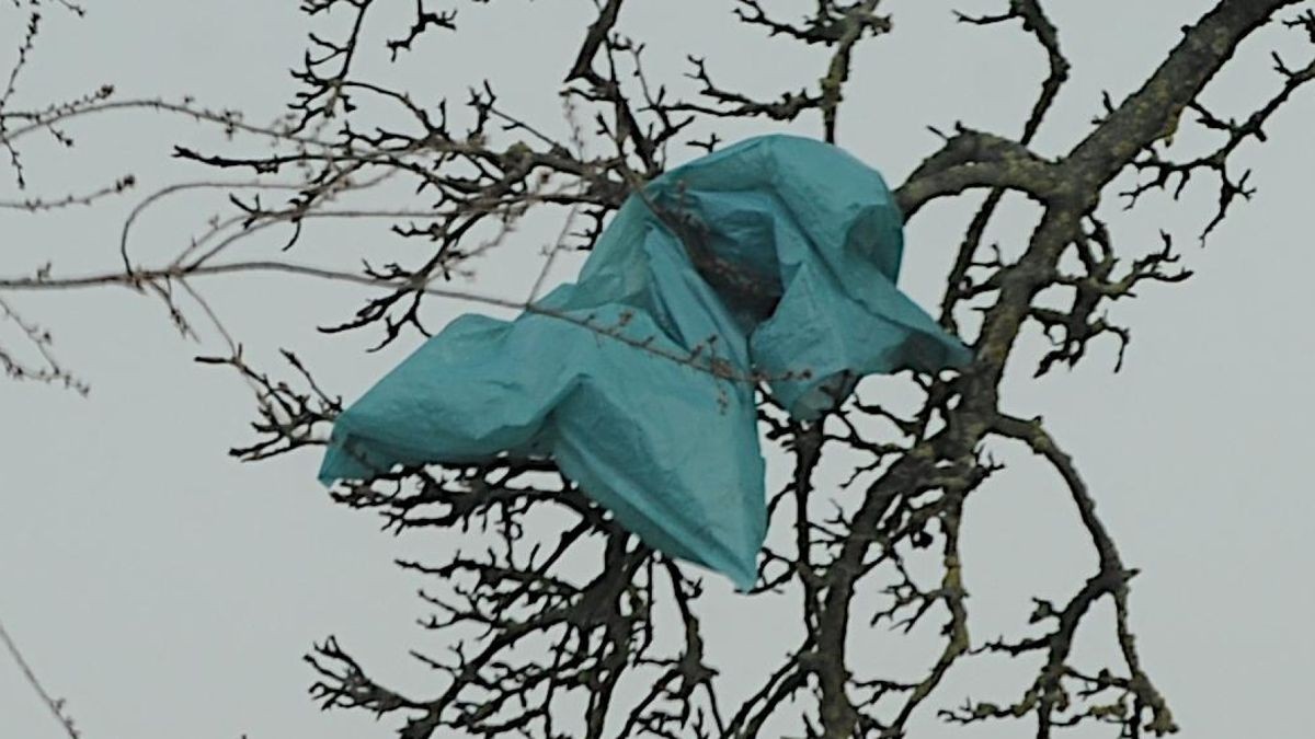 Immer wieder verfängt sich Plastikmüll in Bäumen oder verteilt sich über die Felder.