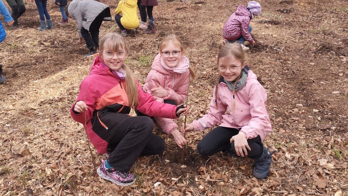 Ida, Mila und Helena (v. l.) haben die ersten Bäumchen gepflanzt. Die Zweit- und Drittklässlerinnen wollen später nachgucken, ob sie schon gewachsen sind.