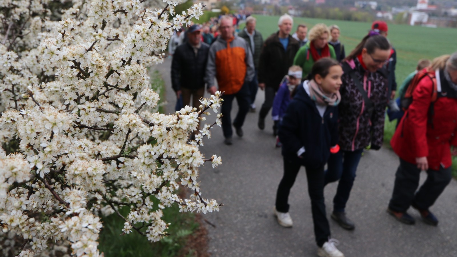 Unsere Top-5-Veranstaltungsempfehlungen für das lange ...