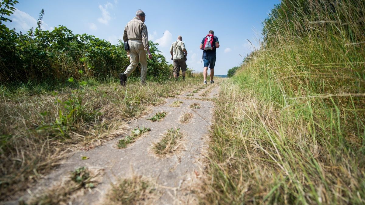 Wanderer erkunden das „Grüne Band“, den ehemaligen innerdeutschen Grenzstreifen. Ein Teil der dortigen Wege sind auch in den neuen Karten enthalten. (Symbolfoto)