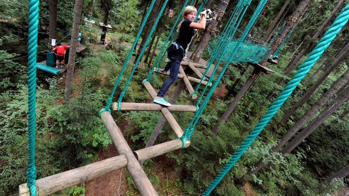 Bis in 15 Meter Höhe hinauf geht es auf den Parcours unterschiedlicher Schwierigkeit im Kletterwald Hohenfelden. (Archivbild)