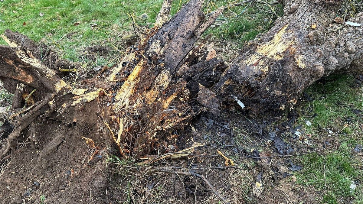 Die Feuerwehren aus Rockensußra und Ebeleben waren mit 25 Kräften im Einsatz.