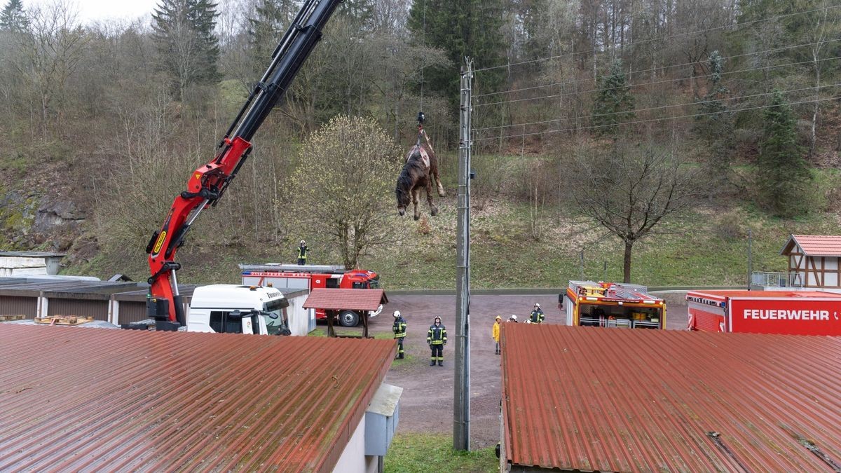 Zu einem schweren Unfall mit einem Pferd ist es am Ostermontag in Langenbach in der Gemeinde Schleusegrund (Landkreis Hildburghausen) gekommen.