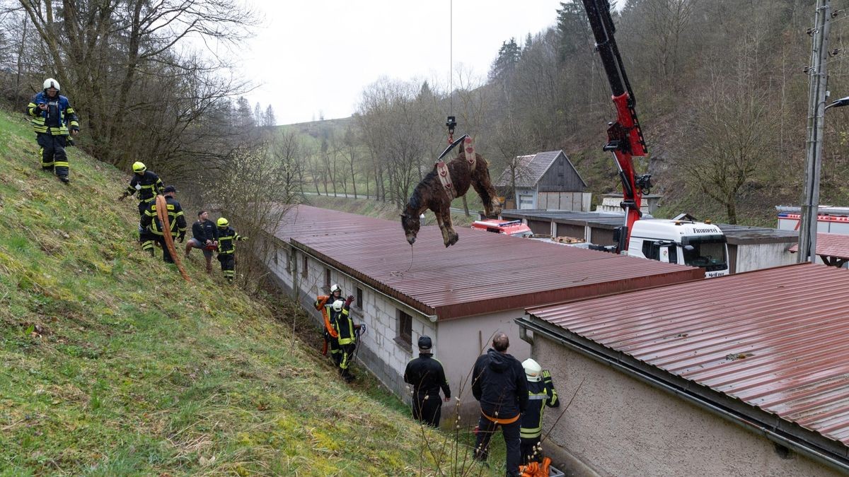 Zu einem schweren Unfall mit einem Pferd ist es am Ostermontag in Langenbach in der Gemeinde Schleusegrund (Landkreis Hildburghausen) gekommen.