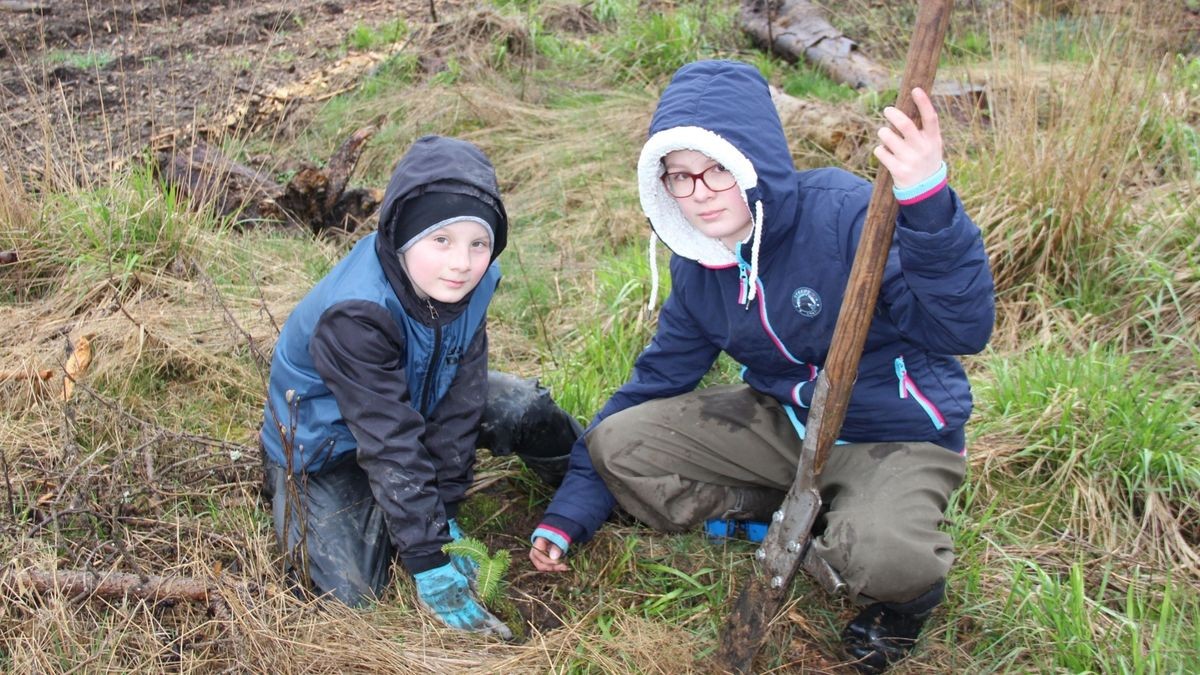 Eine große Baumpflanzaktion führte das Forstamt Bleicherode am 4. April im Revier Rothesütte bei Sophienhof durch. Auch Konrad Becker und Linda Jauer aus Ilfeld halfen mit, 1600 Tannen neu anzupflanzen.