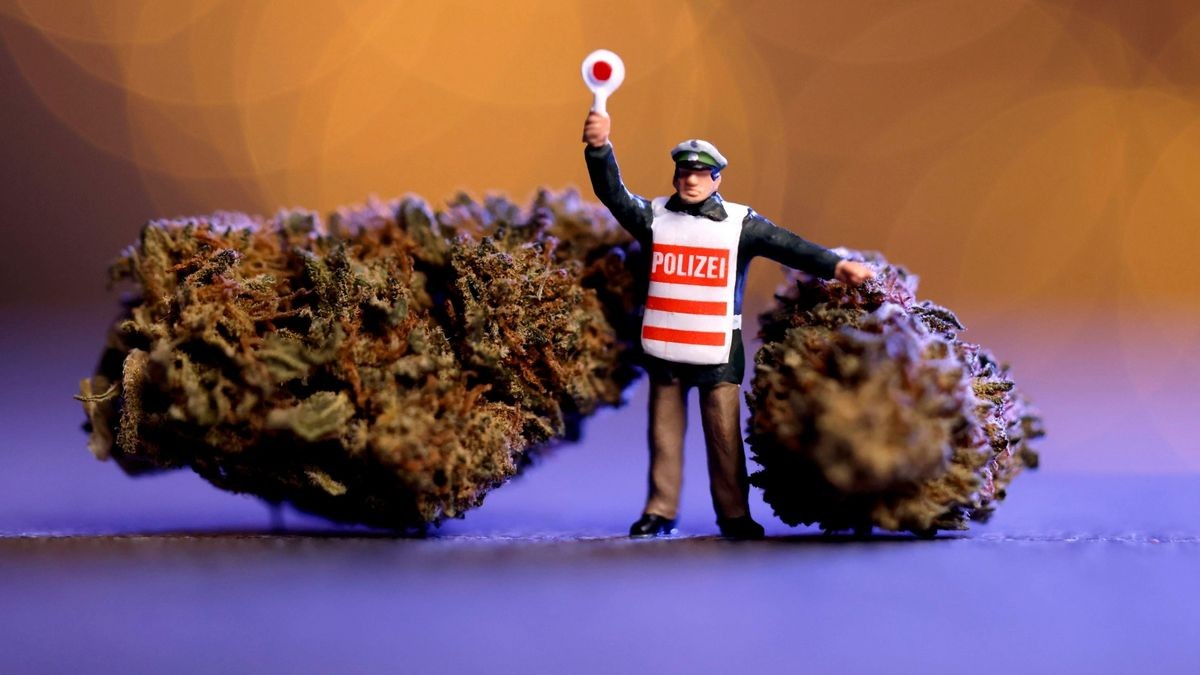 Die teilweise Cannabis-Legalisierung wird auch im Kyffhäuserkreis mitunter kritisch gesehen. An eine Entlastung der Justiz glauben Behördenvertreter eher nicht. (Symbolfoto)