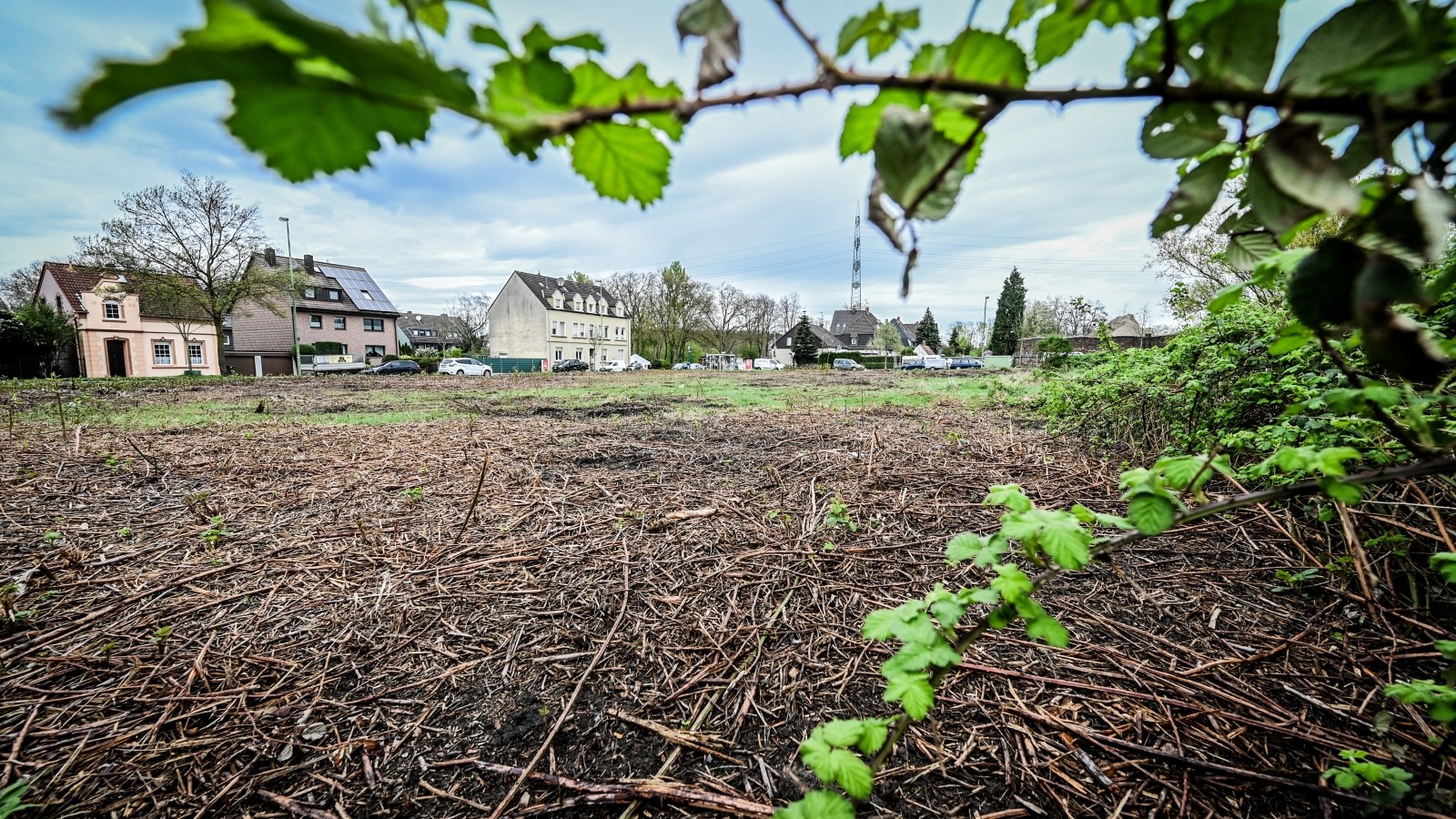 Allbau plant 24 neue Sozialwohnungen in EssenDellwig
