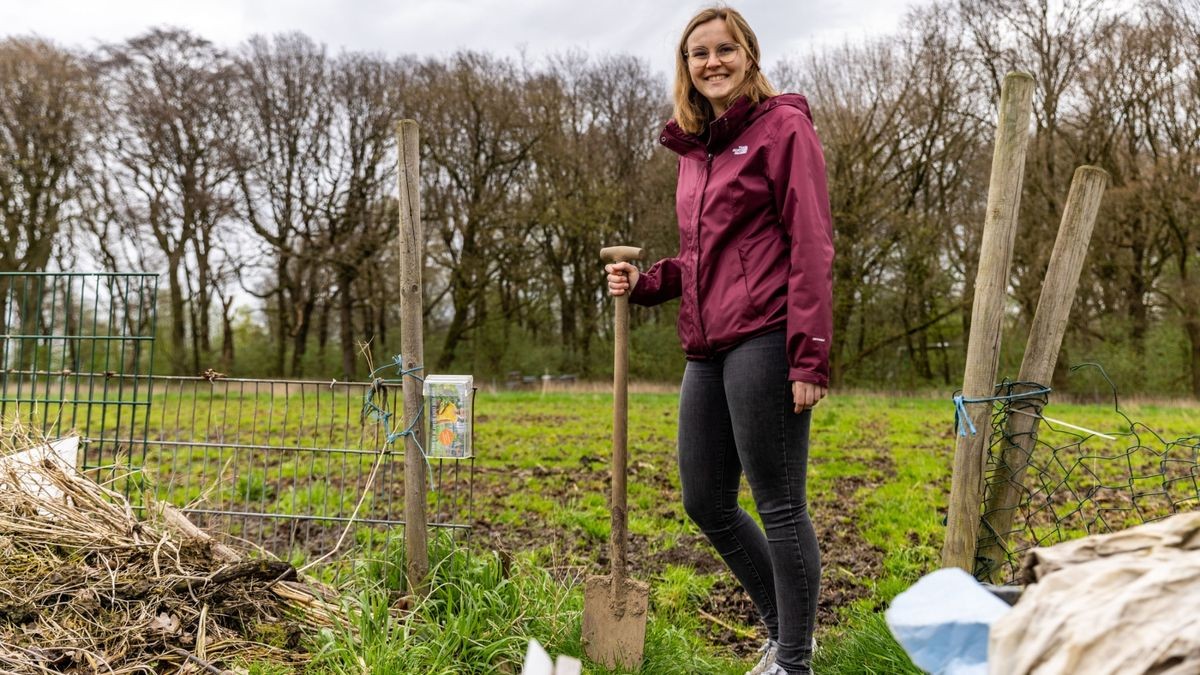 35+ Gemüsegarten Weißes Haus Gibt Es Ihn Noch, Den berühmtesten